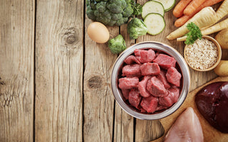 BARF-Mythos: Salmonellen im Rohfleisch - haustidepoterkost.com