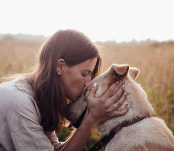 Wie wichtig ist Fett für den Hund? - haustidepoterkost.com