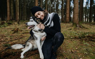Clickertraining bei Katze und Hund - haustidepoterkost.com