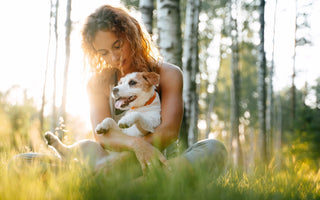 BARFEN für Anfänger: Hunde richtig ernähren - haustidepoterkost.com