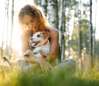 BARFEN für Anfänger: Hunde richtig ernähren - haustidepoterkost.com