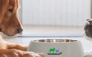 Fettanteil beim Barfen - haustidepoterkost.com
