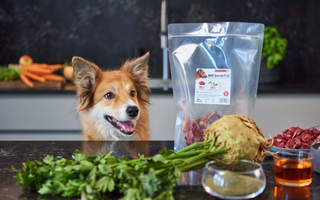Hochwertiges BARF Gourmet PLUS - haustidepoterkost.com