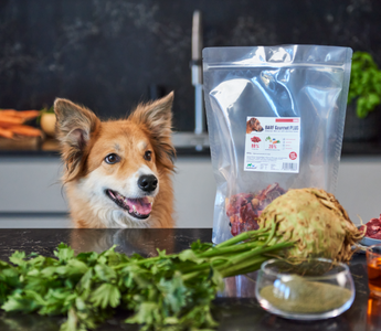 Hochwertiges BARF Gourmet PLUS - haustidepoterkost.com