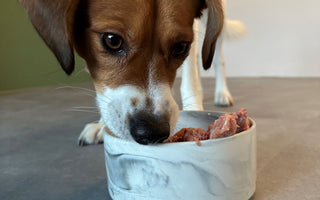 Gefriergetrocknetes Fleisch: Vorteile - haustidepoterkost.com
