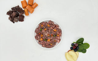 Hund mit Ernährungsberatung optimal füttern - haustidepoterkost.com