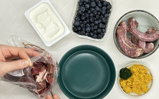 Fleisch richtig auftauen: BARF-Tipps für Ihr Haustier - haustidepoterkost.com