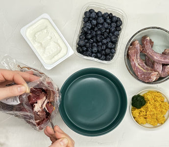 Fleisch richtig auftauen: BARF-Tipps für Ihr Haustier - haustidepoterkost.com