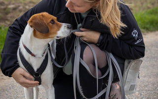 Leinenführigkeit: Hund richtig trainieren - haustidepoterkost.com