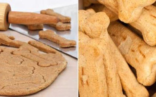 Hundekekse backen: leckere Hundekeks-Rezepte - haustidepoterkost.com