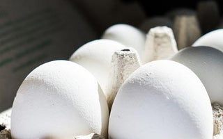 Protein