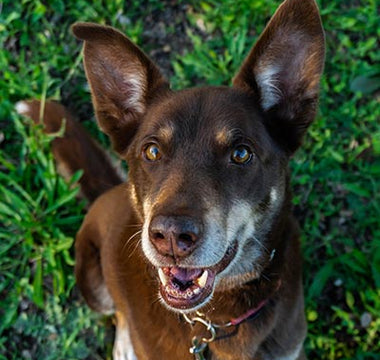 Zahnpflege