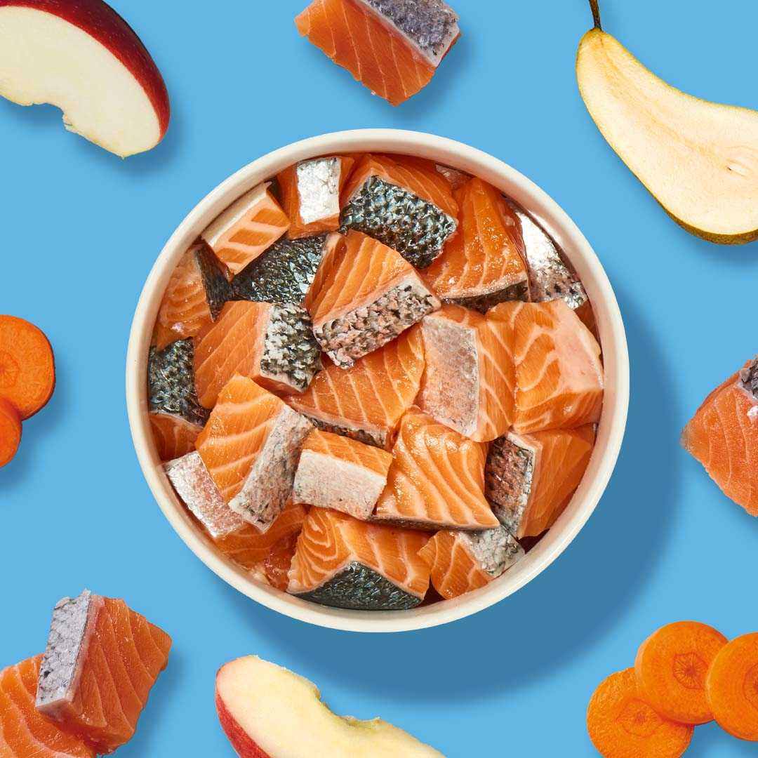 BARF Komfort PLUS Lachs Hundefutter mit Lachs, Karotten, Äpfeln und Birnen, ideal für Hunde.
