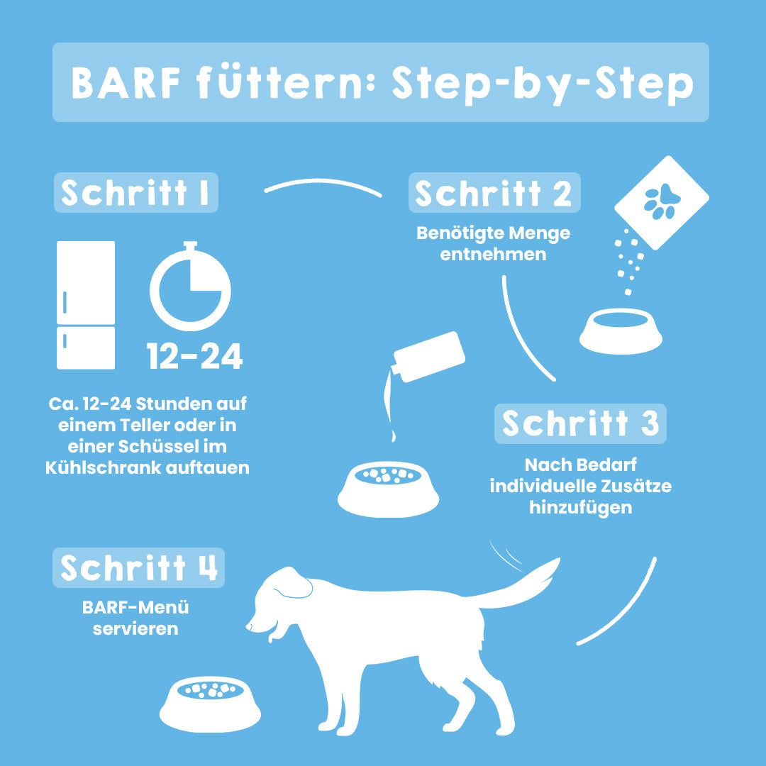 Grafik zur Fütterung von BARF, Schritt-für-Schritt Anleitung mit Hundesymbol und Futternapf.
