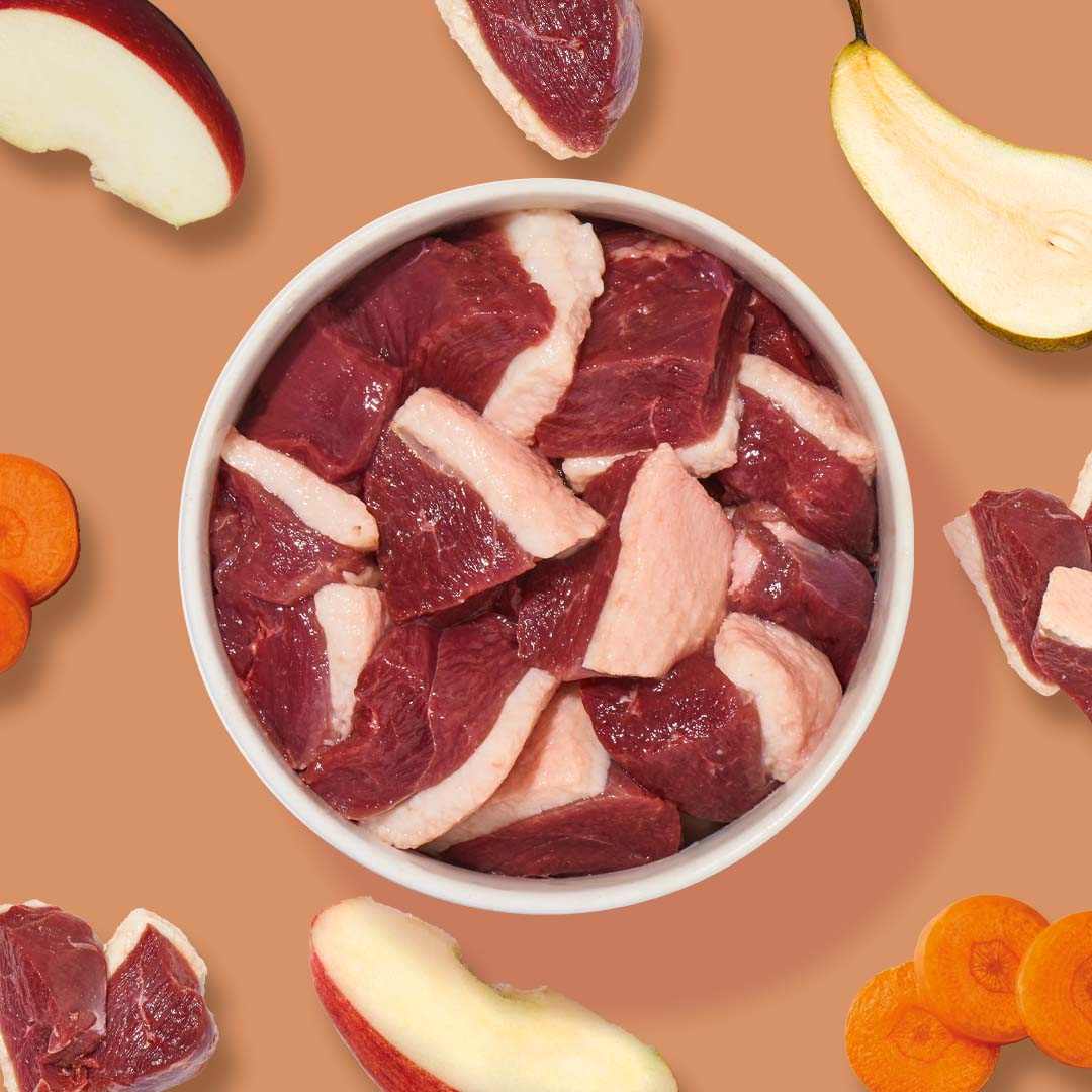 BARF Komfort PLUS Gans 250 g, Rohfutter für Hunde mit Gänsefleisch und Gemüse, natürliche Kalziumquellen, enthält Leinöl und gesunde Kräuter.