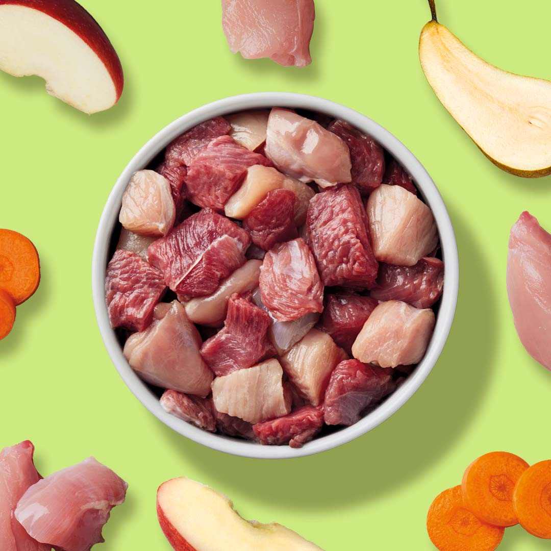 BARF Komfort PLUS Kaninchen raw canine meal with rabbit meat, carrots, apples, pears, and nutritional supplements.