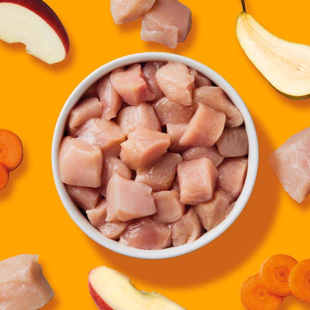 BARF Komfort PLUS Huhn TALER mit Hühnerhälse, Hühnermägen, Karotten, Äpfeln und Leinöl. Im Napf auf orangenem Hintergrund.