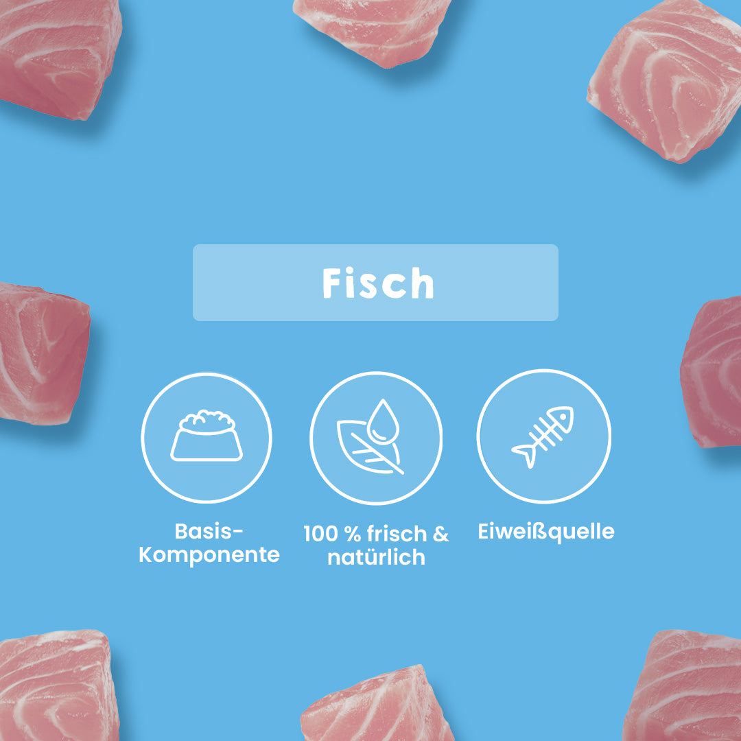 Thunfisch in Stücken, Einzelfuttermittel für Hunde und Katzen, tiefgefroren.