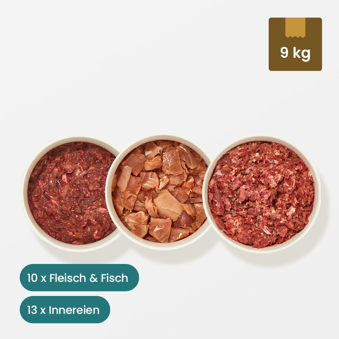 Paket Katze Senior 15 kg mit Fleisch, Fisch und Innereien für ältere Katzen