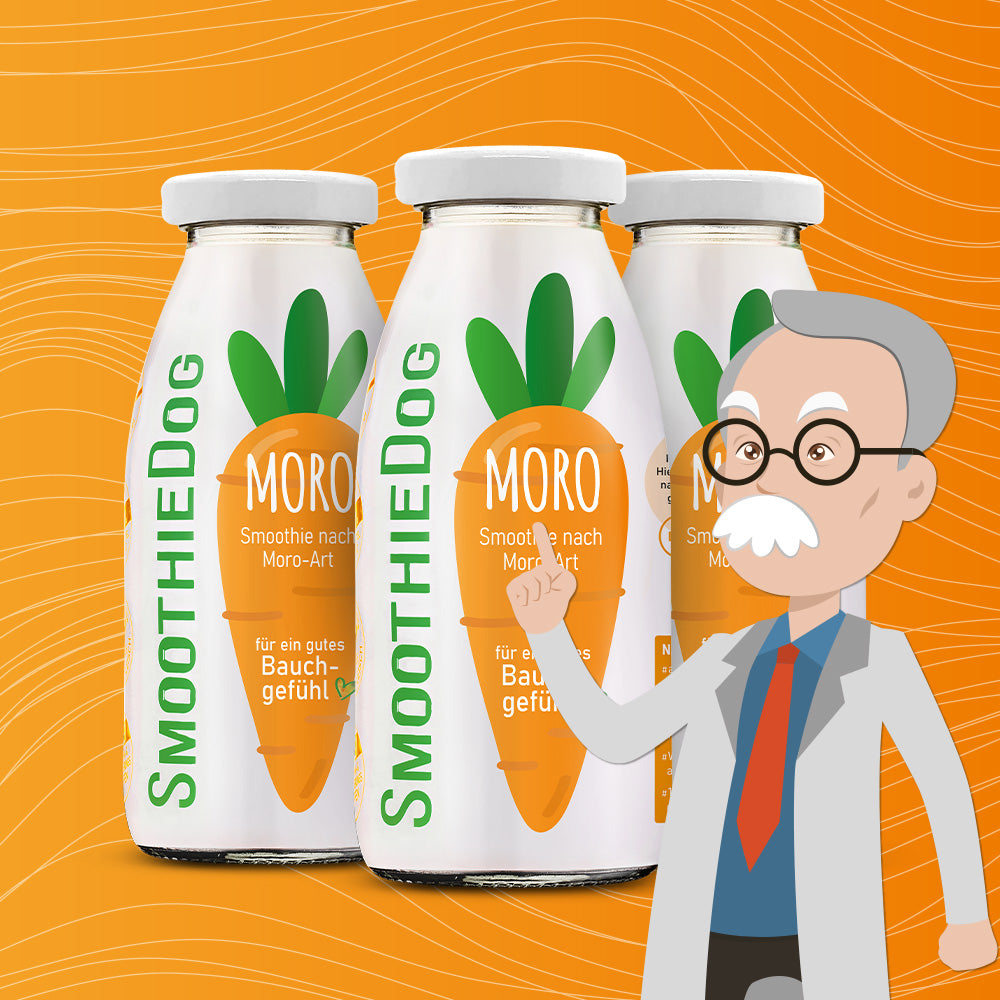 SmoothieDog® Morosche Karottensuppe, 250 ml - haustidepoterkost.com®