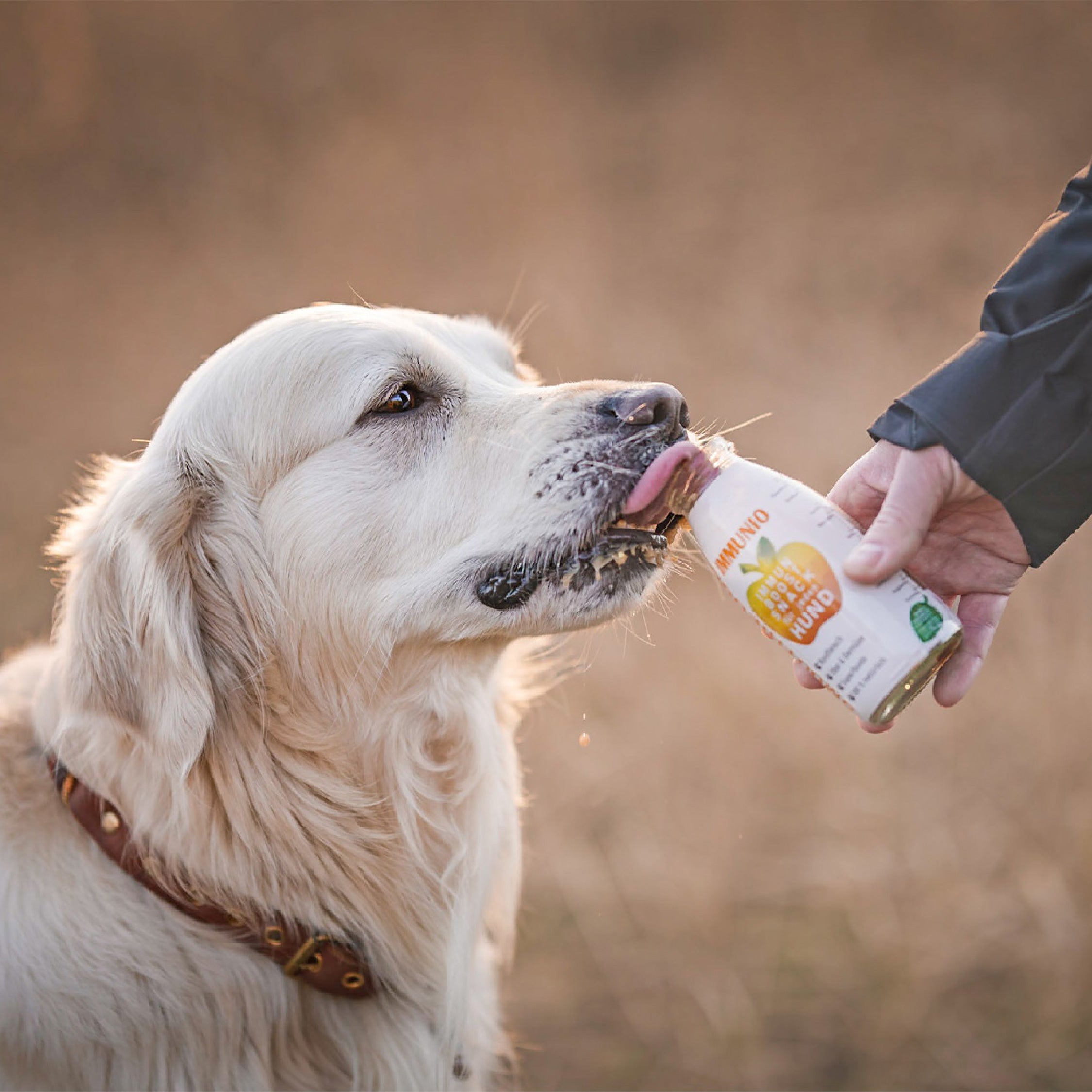 SmoothieDog® Immunio, 250 ml - haustidepoterkost.com®