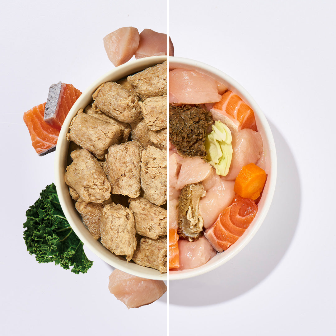 Köttbullar Huhn und Lachs mit Pansen, portionierte gefrorene Hundemenü-Bällchen aus finnischen Zutaten, inklusive Hühnerleber, Gemüse und Vitaminen.