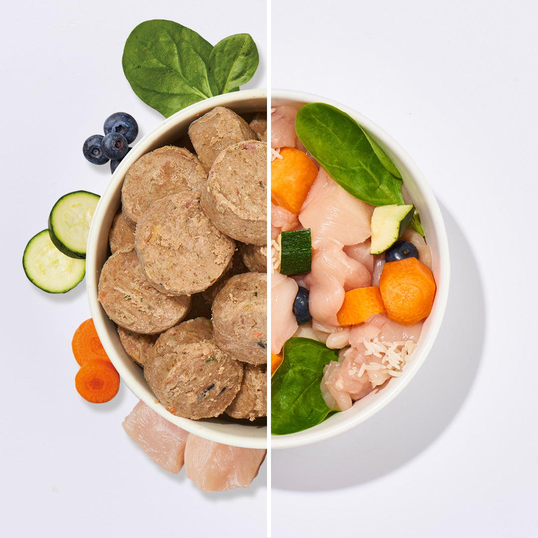 All-in-One Nuggets Huhn – ausgewogenes Hundefutter mit Muskelfleisch, Gemüse und Vitaminen, monoprotein und ohne Zuckerzusatz, ideal für BARF Einsteiger.