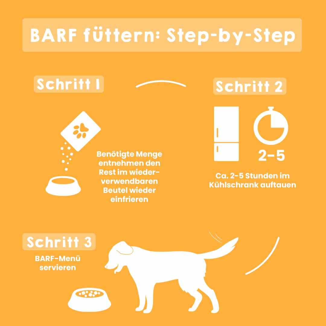 BARF-Fütterungsguide für Einsteigerpaket, Schritt-für-Schritt-Anleitung für kleine Hunde, ideal für Futterumstellung.