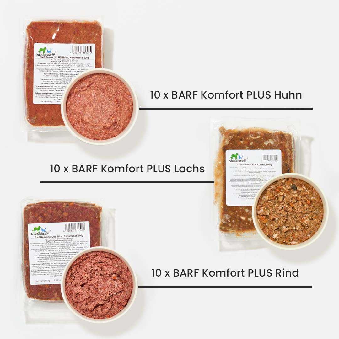 Einsteigerpaket für große Hunde mit BARF Komfort PLUS Futter in Huhn, Lachs, Rind und Zubehör für gesunde Umstellung.
