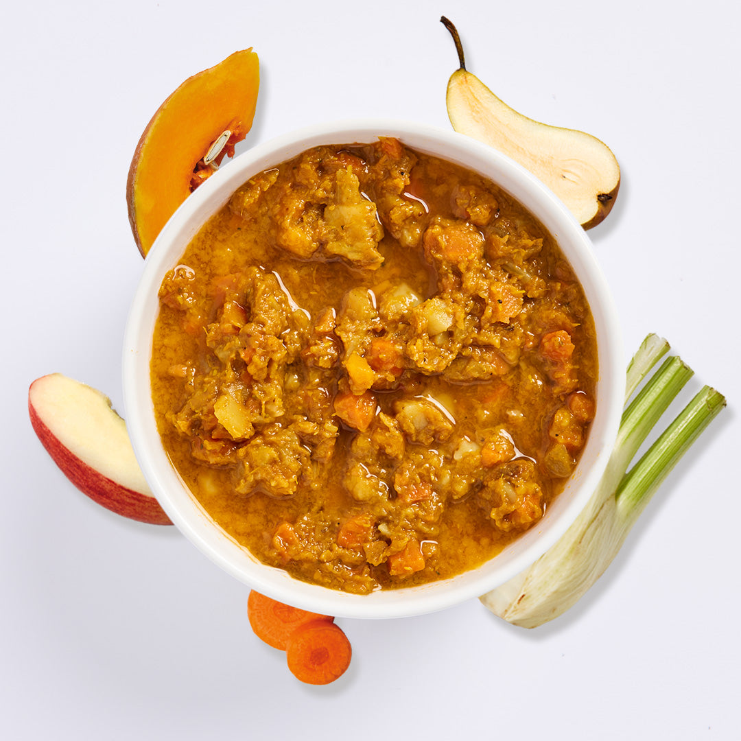 FrischePüree Probierpaket Gemüse- und Obstpüree für BARF mit Kürbis, Birne, Apfel und Karotte