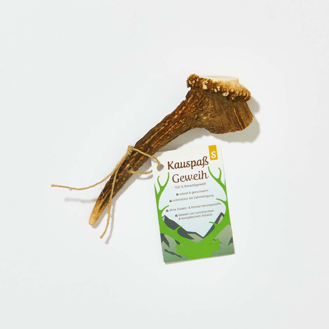 Kauspaß Geweih Größe S für Hunde, naturbelassen, antiallergen, unterstützend für Zahnpflege.