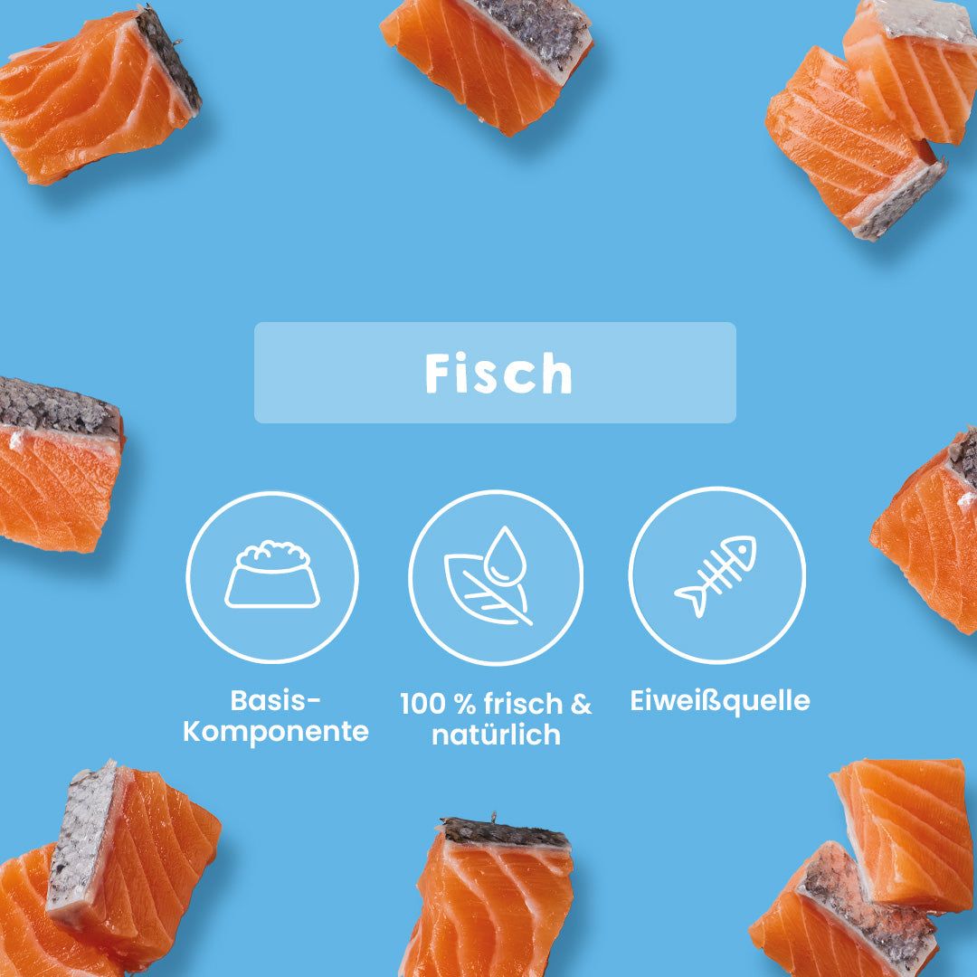 BIO Lachsabschnitte DE-ÖKO-006, rich in Omega-3 and Omega-6, suitable for dogs and cats of all ages, especially for sensitive and allergic pets.