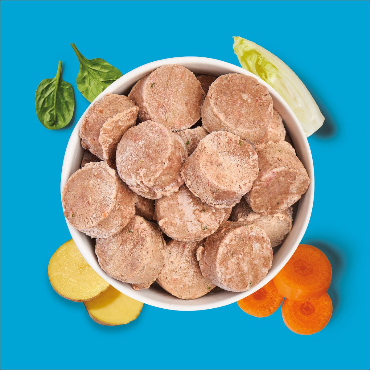 Nutriment BARF In One ENTE - haustidepoterkost.com®