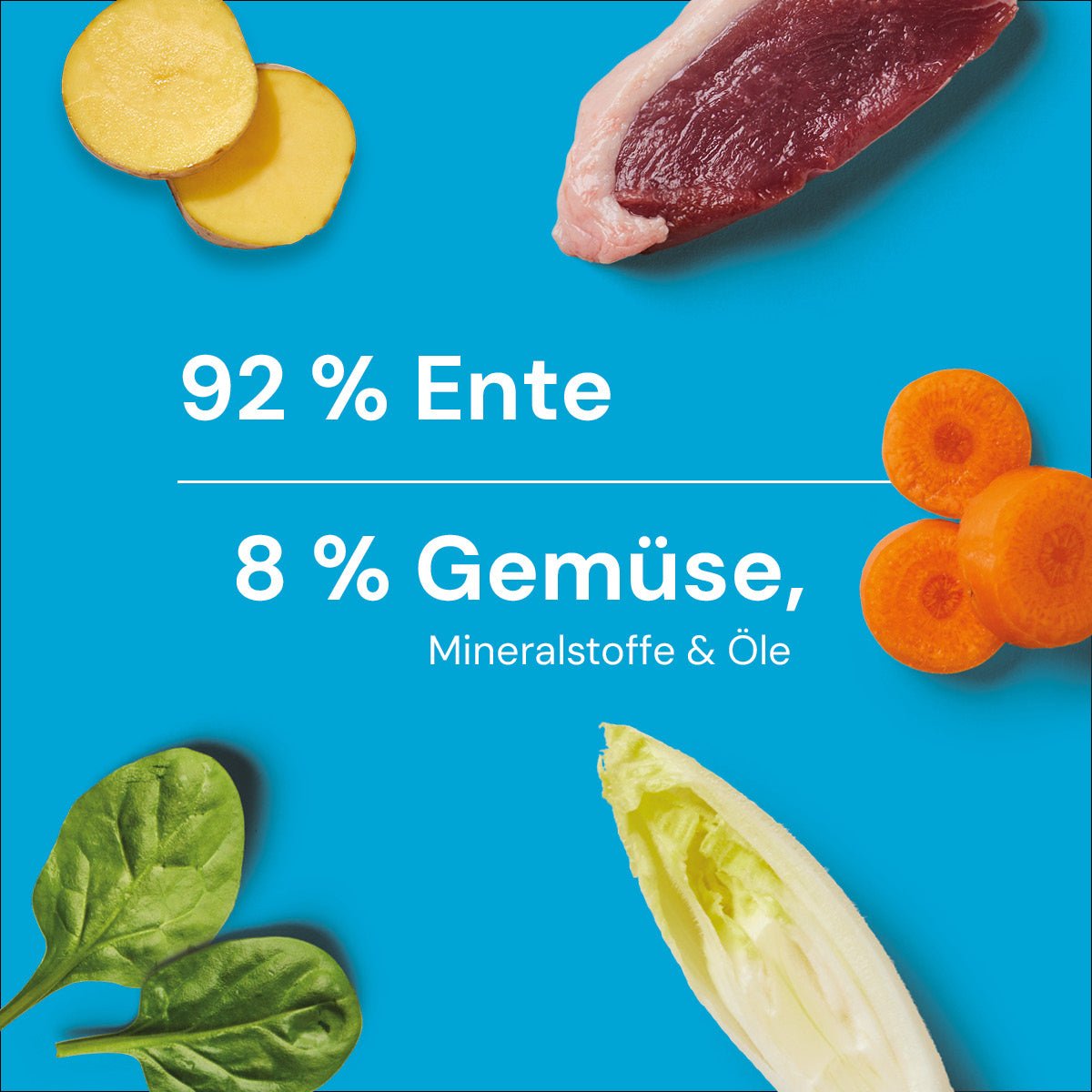 Nutriment BARF In One ENTE - haustidepoterkost.com®