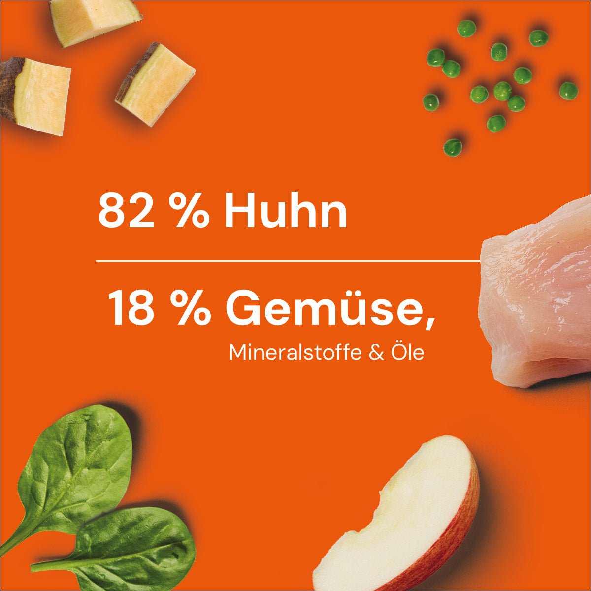 Nutriment BARF In One GEFLÜGEL - haustidepoterkost.com®