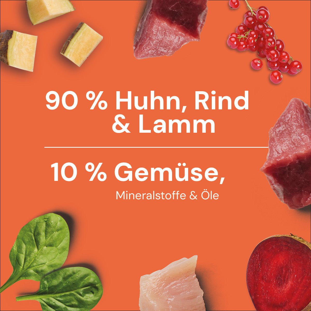 Nutriment BARF In One KRAFTPROTZ (High Energy) - haustidepoterkost.com®