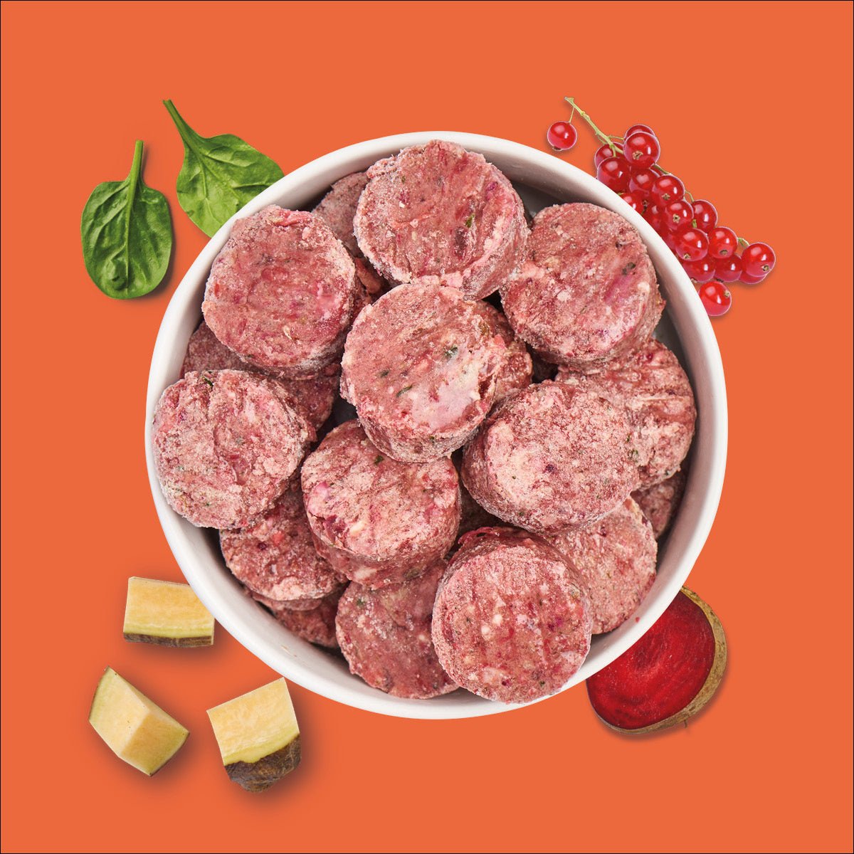Nutriment BARF In One KRAFTPROTZ (High Energy) - haustidepoterkost.com®