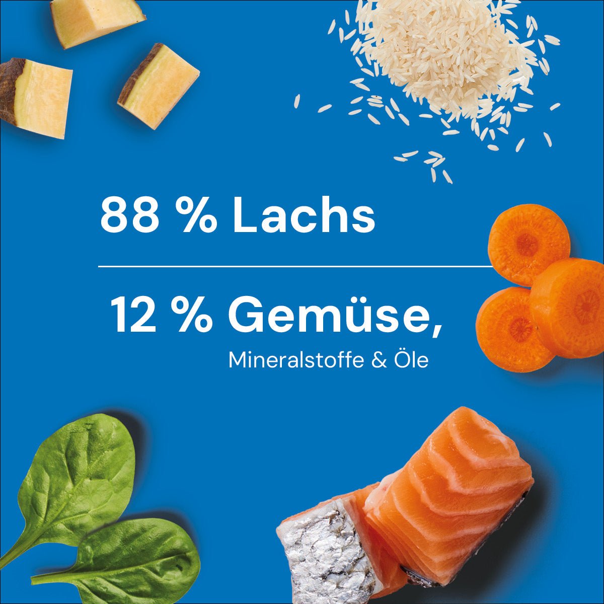 Nutriment BARF In One LACHS - haustidepoterkost.com®