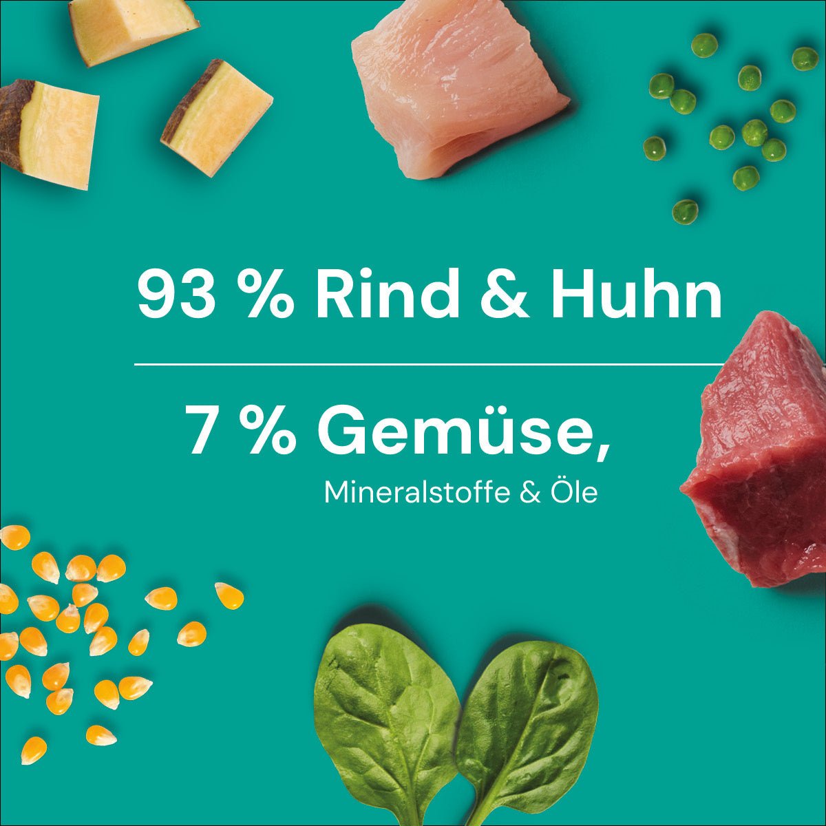 Nutriment BARF In One Pansen PLUS - haustidepoterkost.com®