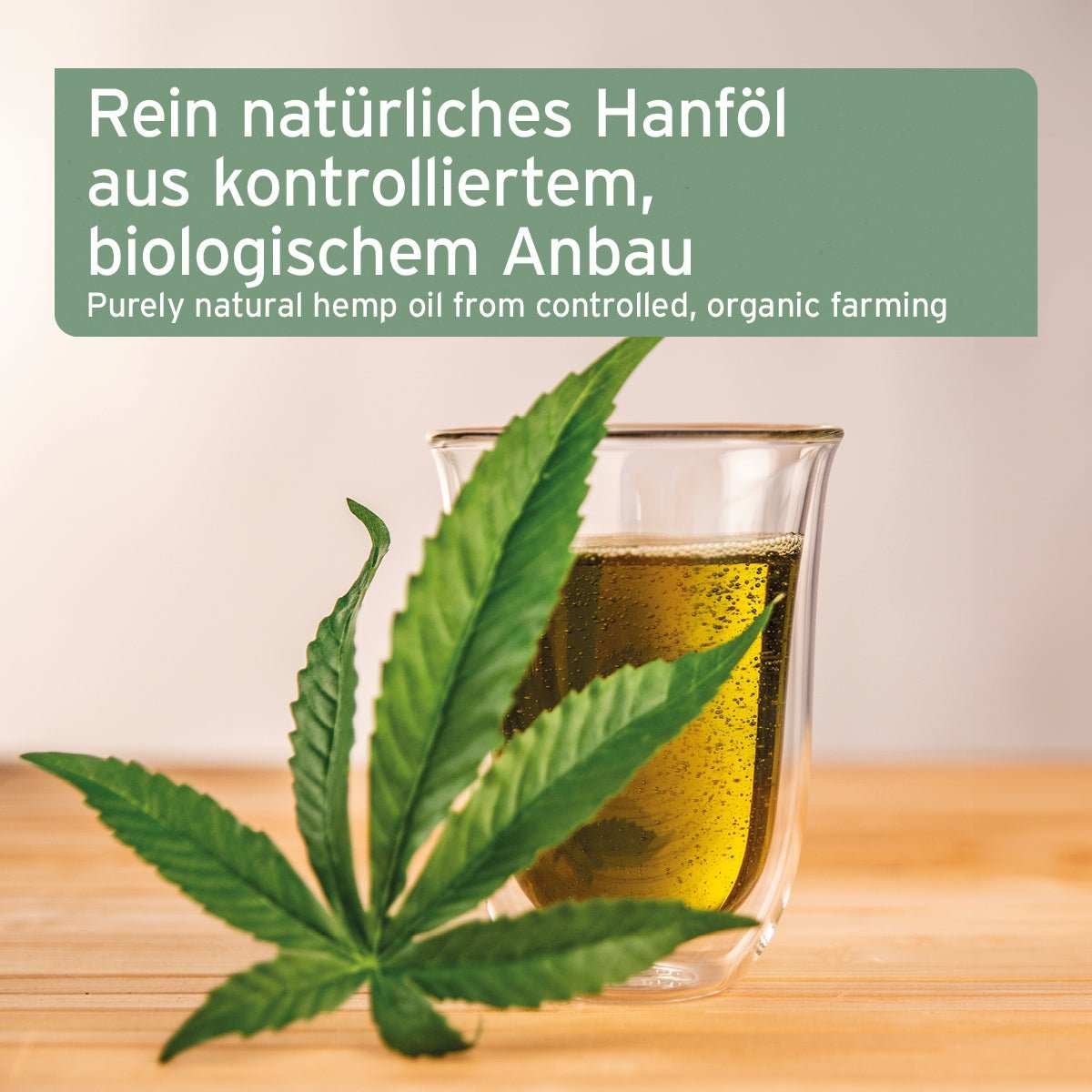 AniForte® Bio Hanföl schonend kaltgepresst für Hunde, Katzen und Pferde, 250 ml, unterstützt Immunsystem und Fellpflege