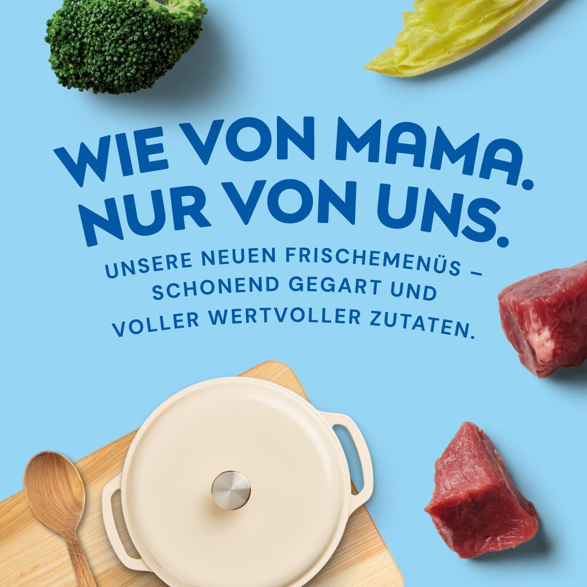 Nutriment Schonend gegartes Frischemenü Lachs, Kürbis & Zucchini - haustidepoterkost.com®