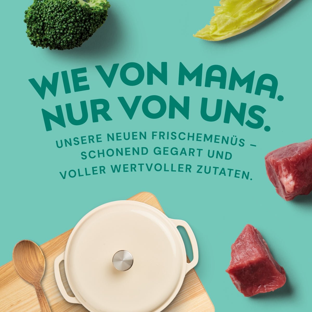 Nutriment Schonend gegartes Frischemenü Pferd, Spinat & Erbsen - haustidepoterkost.com®