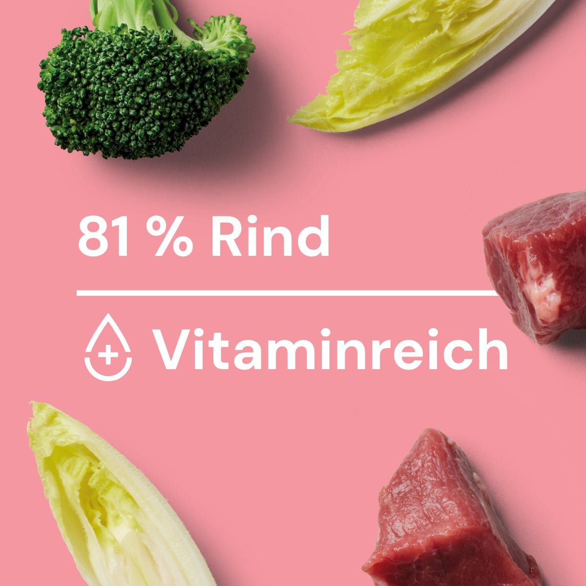Nutriment Schonend gegartes Frischemenü Rind, Chicorée & Brokkoli - haustidepoterkost.com®