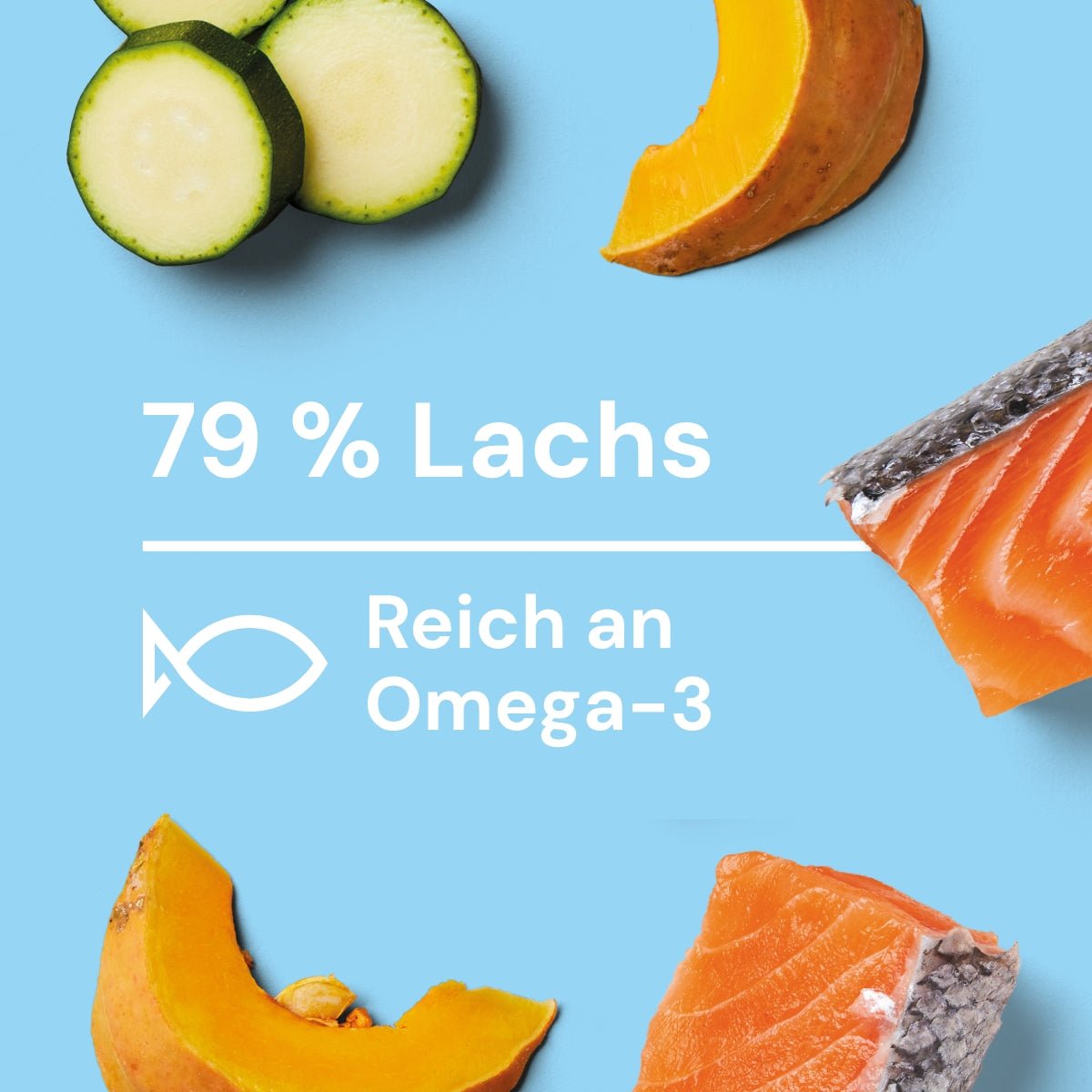 Nutriment Schonend gegartes Frischemenü Lachs, Kürbis & Zucchini - haustidepoterkost.com®