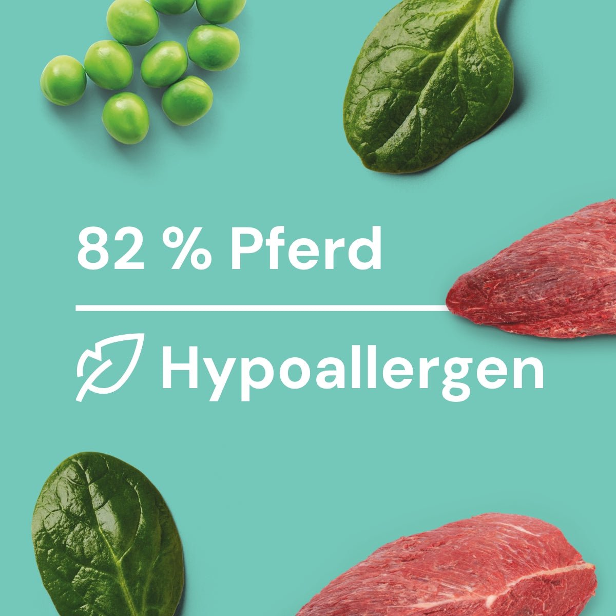 Nutriment Schonend gegartes Frischemenü Pferd, Spinat & Erbsen - haustidepoterkost.com®