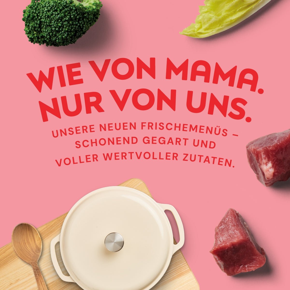 Nutriment Schonend gegartes Frischemenü Rind, Chicorée & Brokkoli - haustidepoterkost.com®