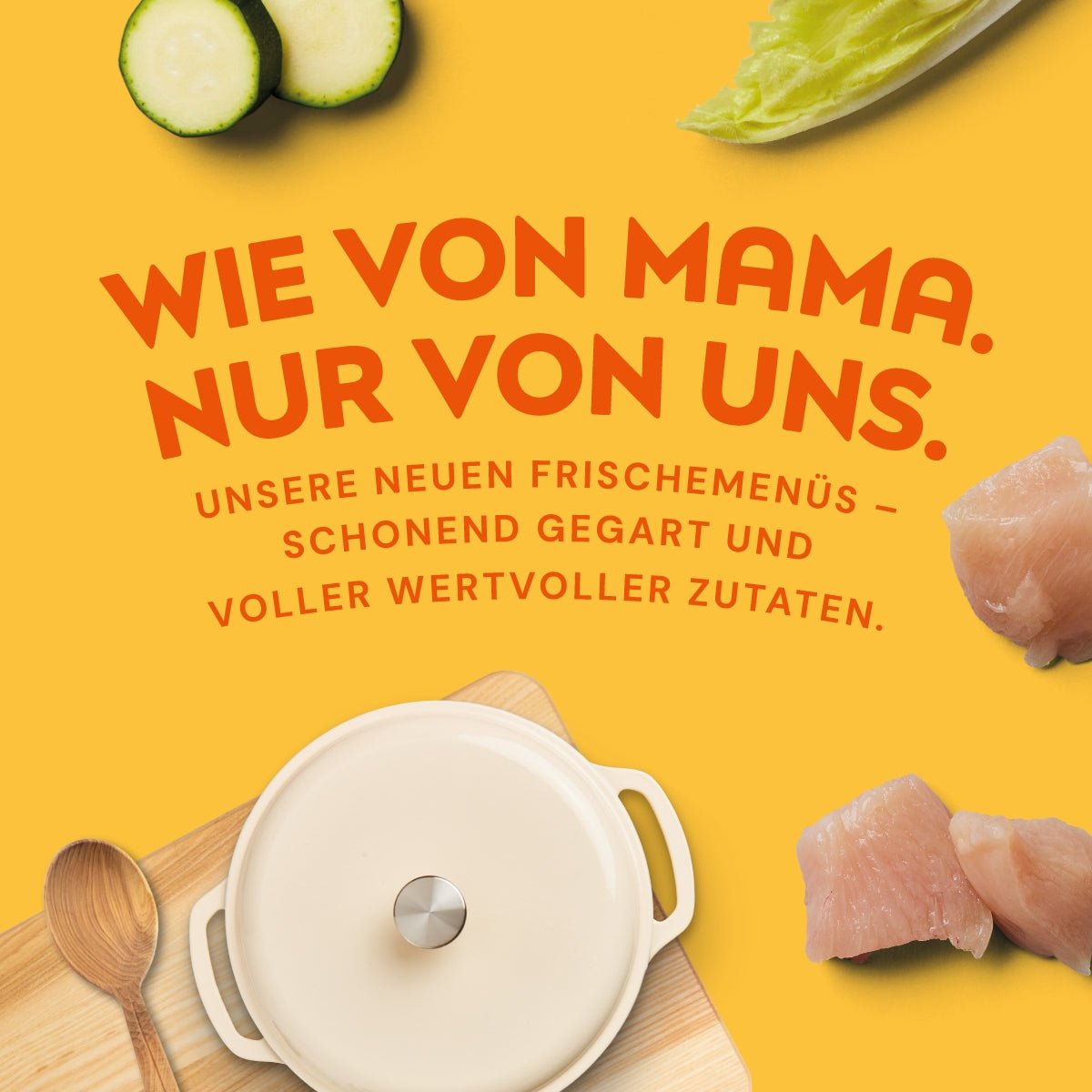 Nutriment Schonend gegarte Medaillons Huhn, Chicorée & Zucchini - haustidepoterkost.com®