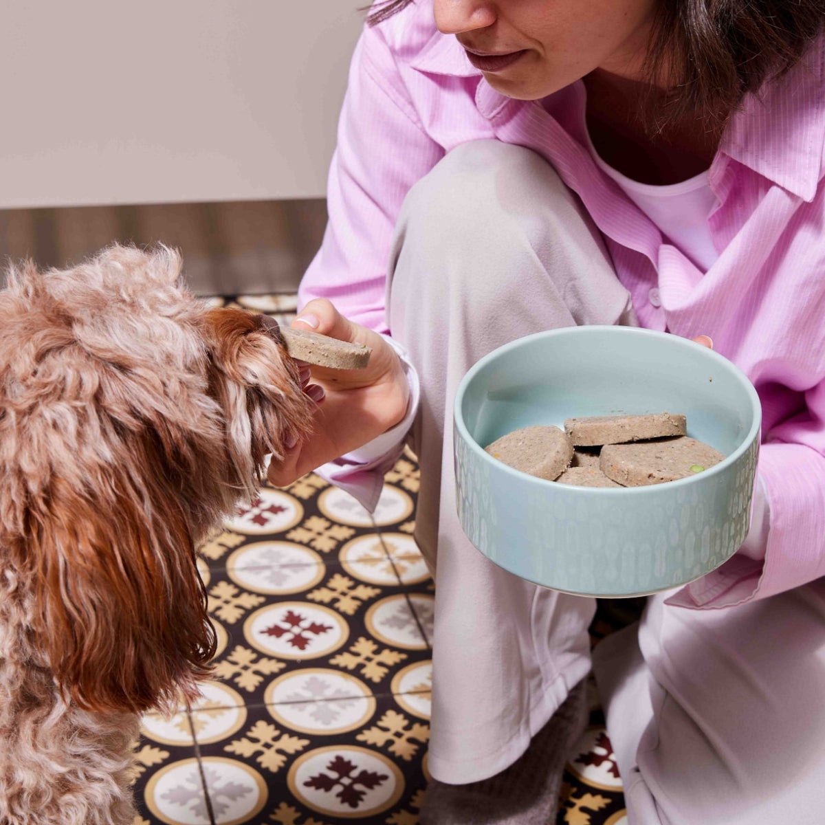 Nutriment Schonend gegarte Medaillons Rind, Chicorée & Brokkoli - haustidepoterkost.com®