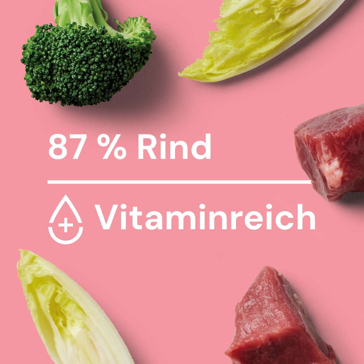 Nutriment Schonend gegarte Medaillons Rind, Chicorée & Brokkoli - haustidepoterkost.com®