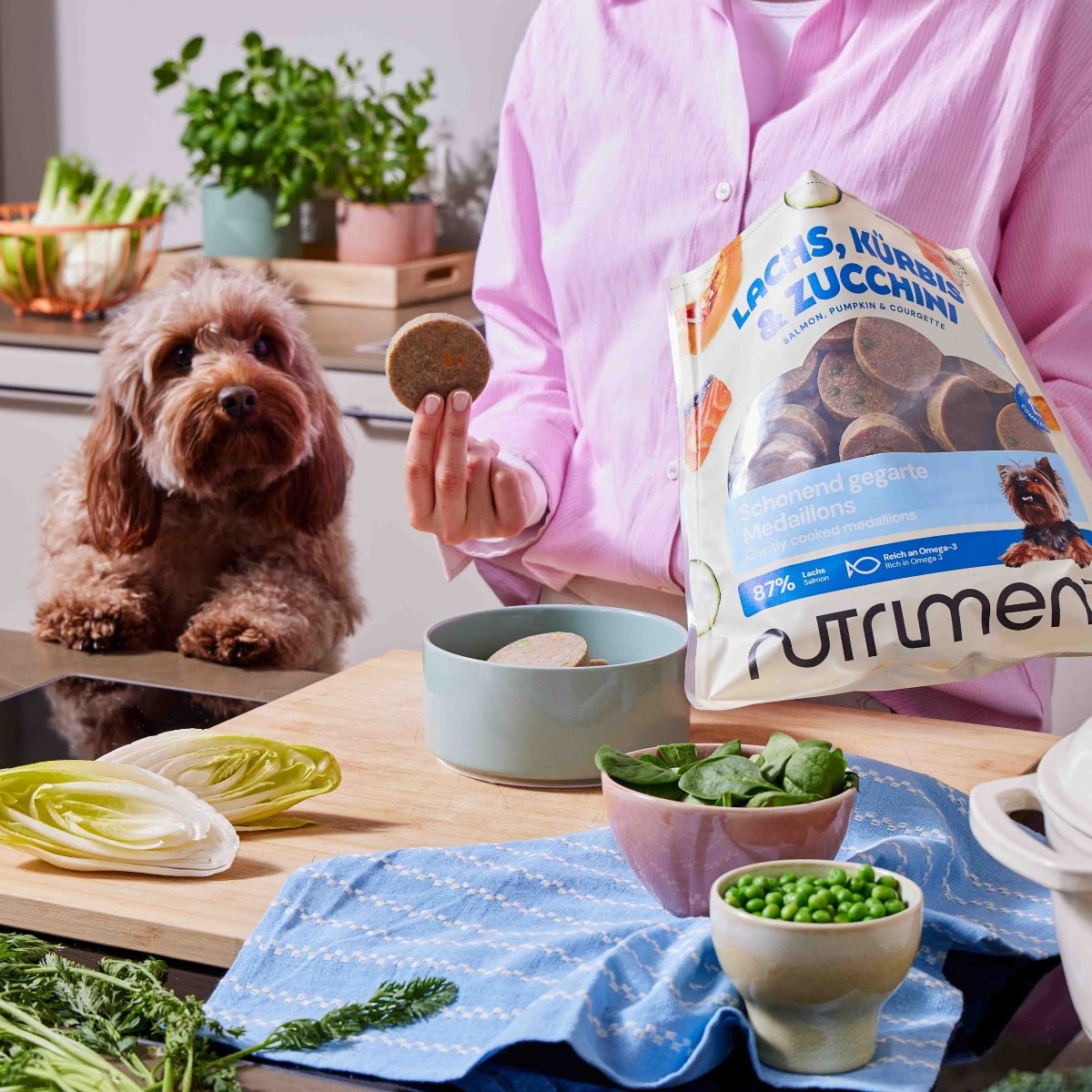 Nutriment Schonend gegarte Medaillons Rind, Chicorée & Brokkoli - haustidepoterkost.com®